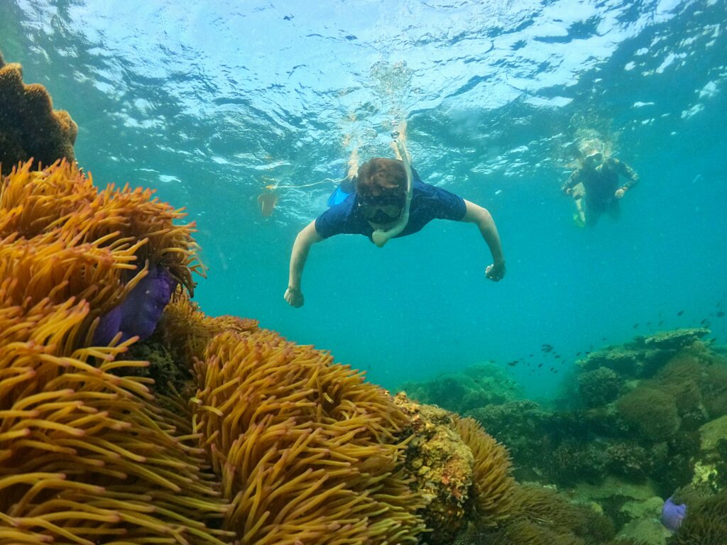 Ham Rong Beach: A Journey to the Untouched Beauty of Pearl Island with PhuQuoc WaterBus